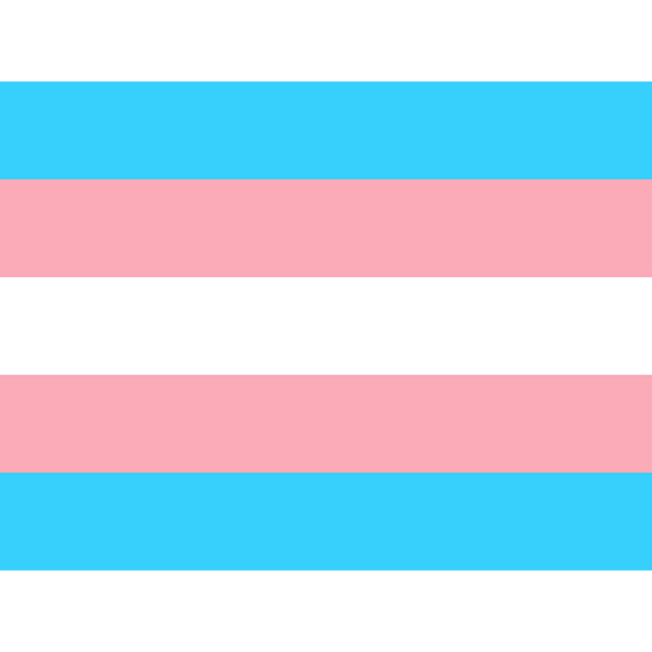 Trans bandera