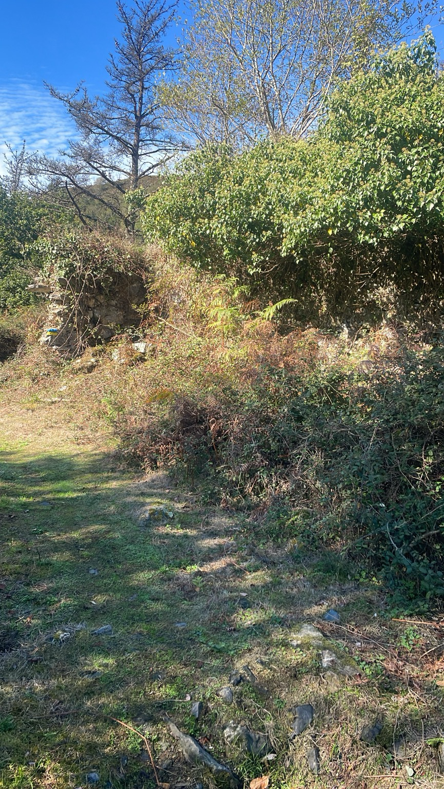 Ortzeriaga baserriaren orubea.